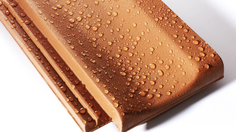 Protectosil® water repellent products are also suitable for the protection of bricks.